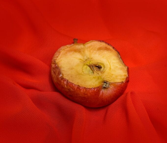 apple Rewa Today