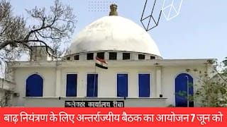 Uncontrollable Bolero full of wedding processions