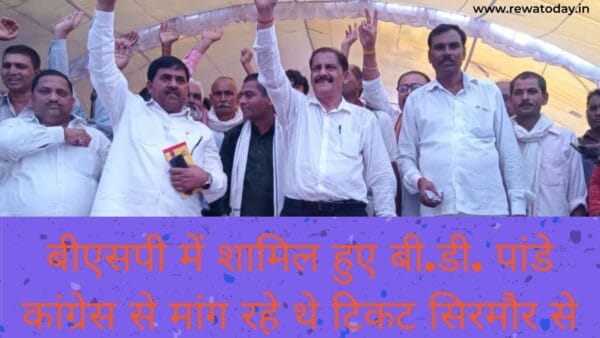 Congress To Bsp REWA TODAY