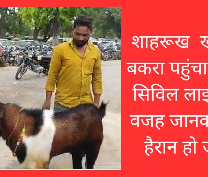 शाहरूख खान का बकरा पहुंचा रीवा के सिविल लाइन थाने वजह जानकर आप हैरान हो जाएंगे