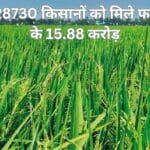 जिले के 28730 किसानों को मिले फसल बीमा के 15.88 करोड़