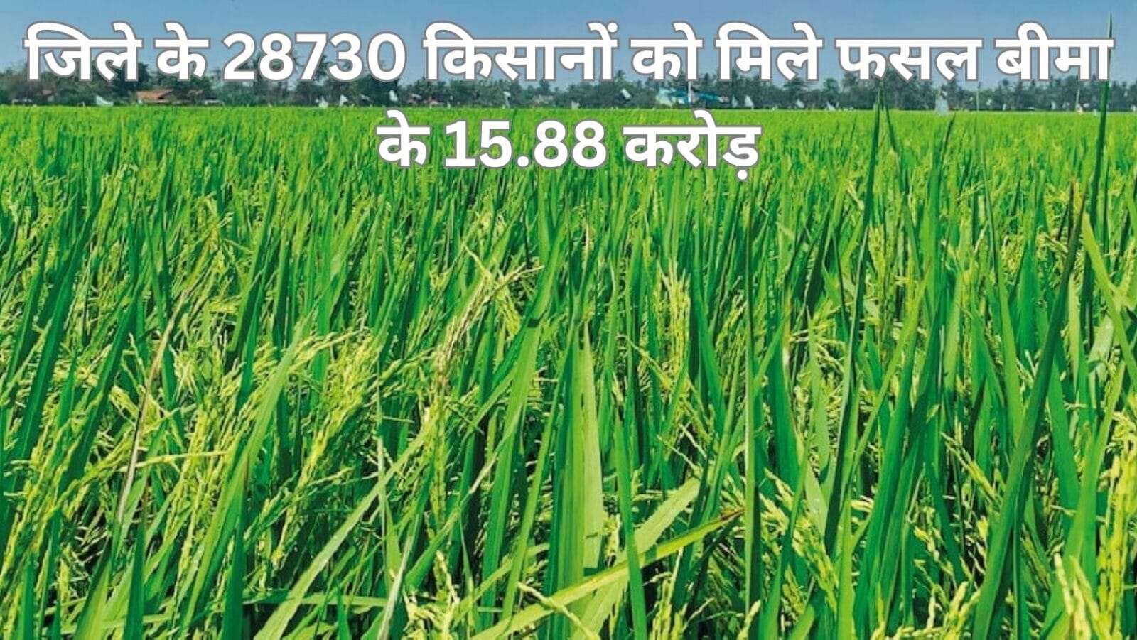 जिले के 28730 किसानों को मिले फसल बीमा के 15.88 करोड़