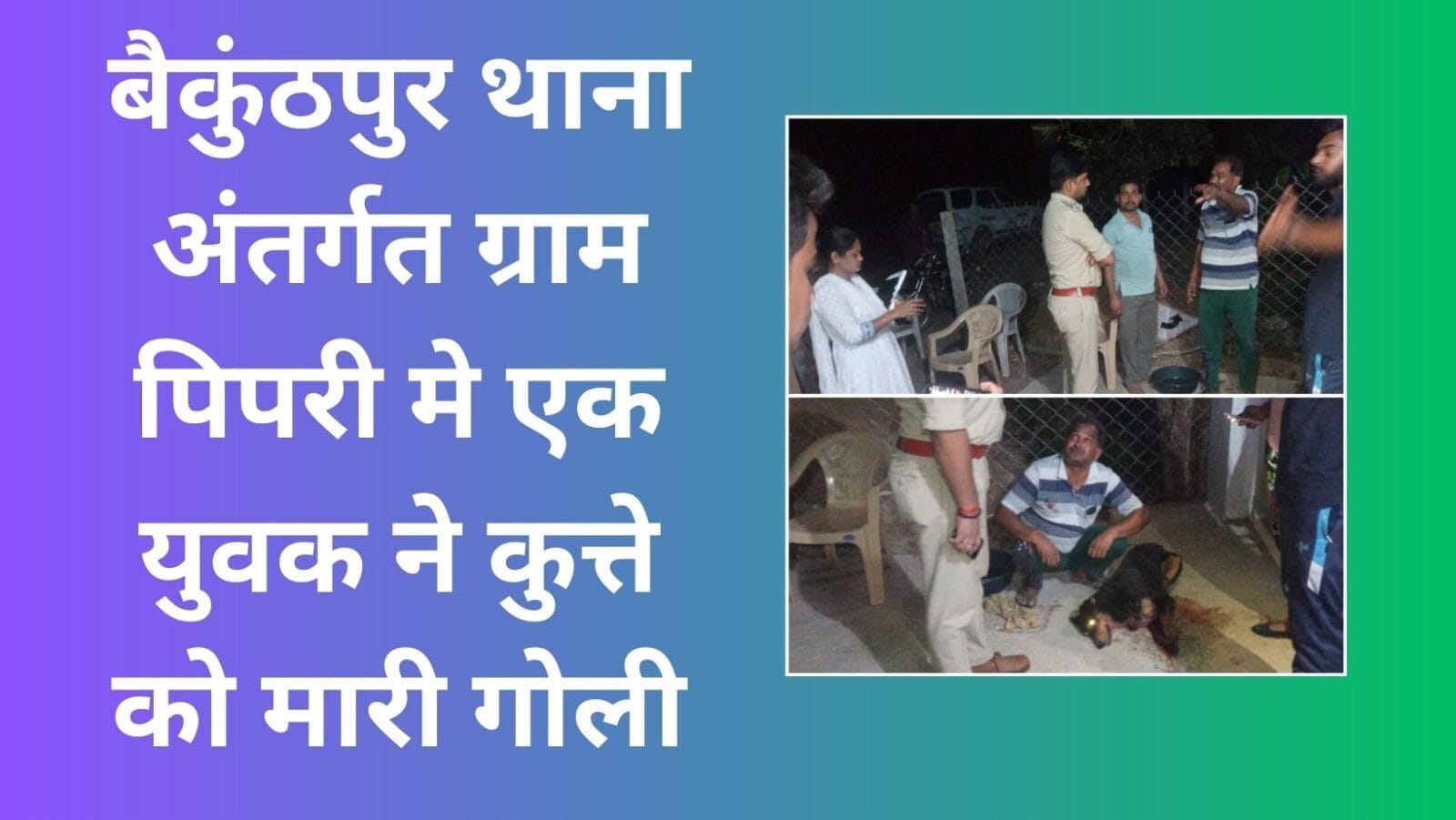 A young man shot a dog in village Pipri under Baikunthpur police station,