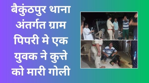 A young man shot a dog in village Pipri under Baikunthpur police station,