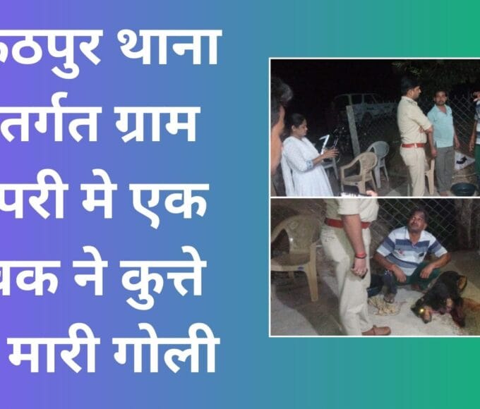 A young man shot a dog in village Pipri under Baikunthpur police station,