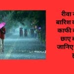 रीवा संभाग में बारिश का आंकड़ा काफी कम बादल छाए बरसे नहीं जानिए मौसम का हाल