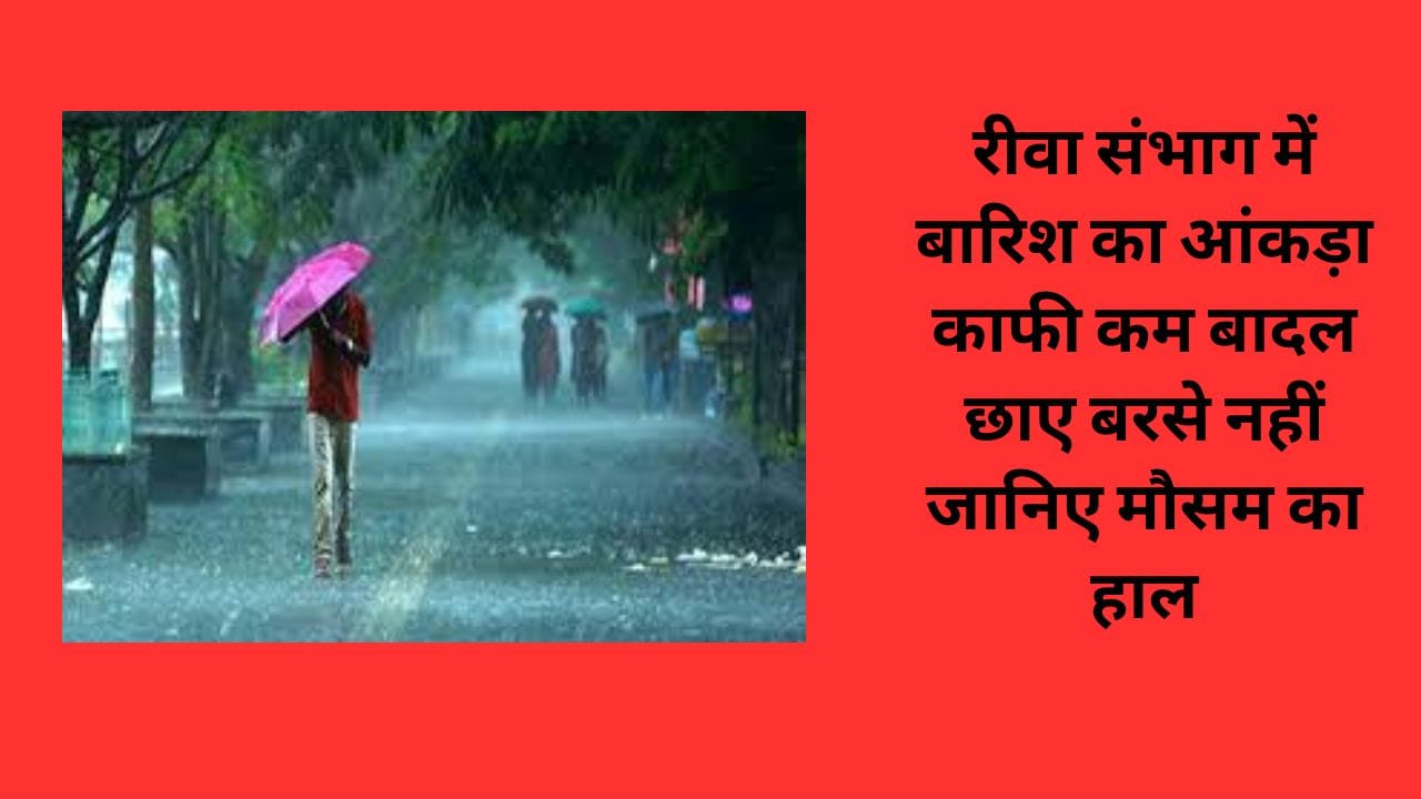 रीवा संभाग में बारिश का आंकड़ा काफी कम बादल छाए बरसे नहीं जानिए मौसम का हाल