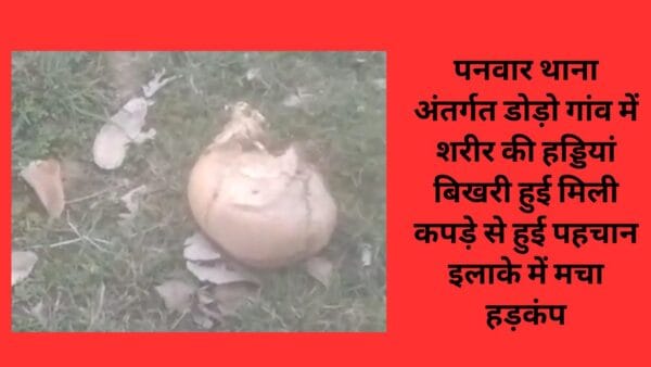 पनवार थाना अंतर्गत डोड़ो गांव में शरीर की हड्डियां बिखरी हुई मिली कपड़े से हुई पहचान इलाके में मचा हड़कंप