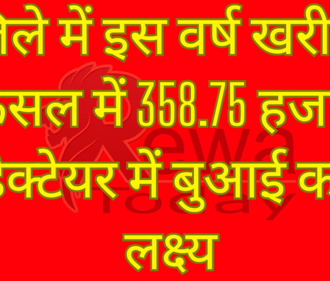 जिले में इस वर्ष खरीफ फसल में 358.75 हजार हेक्टेयर में बुआई का लक्ष्य