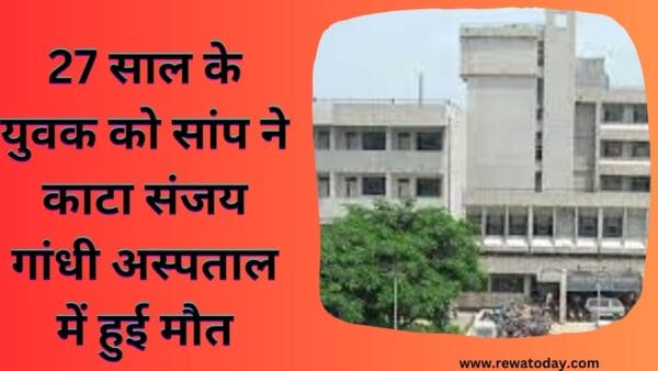 27 साल के युवक को सांप ने काटा संजय गांधी अस्पताल में हुई मौत