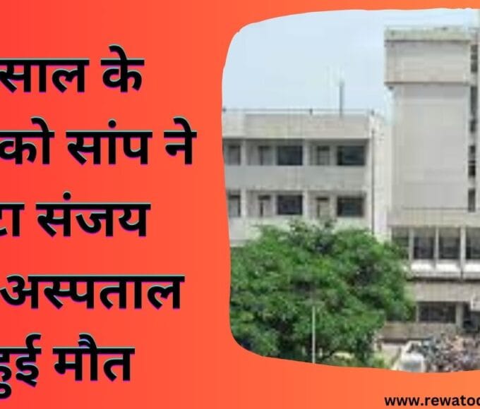 27 साल के युवक को सांप ने काटा संजय गांधी अस्पताल में हुई मौत