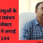 _आवारा पशुओं के समुचित प्रबंधन हेतु कलेक्टर मऊगंज ने लगाई धारा 144