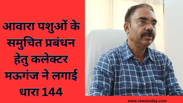 _आवारा पशुओं के समुचित प्रबंधन हेतु कलेक्टर मऊगंज ने लगाई धारा 144