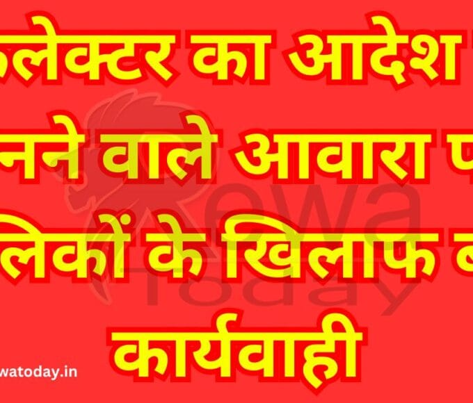 Major action against stray animal owners who do not obey collector's orders