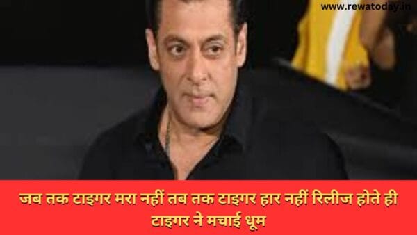 जब तक टाइगर मरा नहीं तब तक टाइगर हार नहीं रिलीज होते ही टाइगर ने मचाई धूम