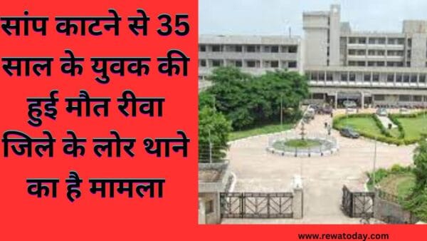 सांप काटने से 35 साल के युवक की हुई मौत रीवा जिले के लोर थाने का है मामला