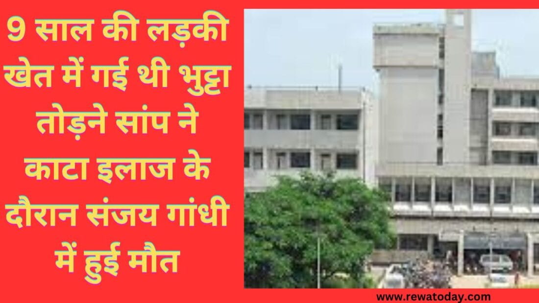 9 साल की लड़की खेत में गई थी भुट्टा तोड़ने सांप ने काटा इलाज के दौरान संजय गांधी में हुई मौत