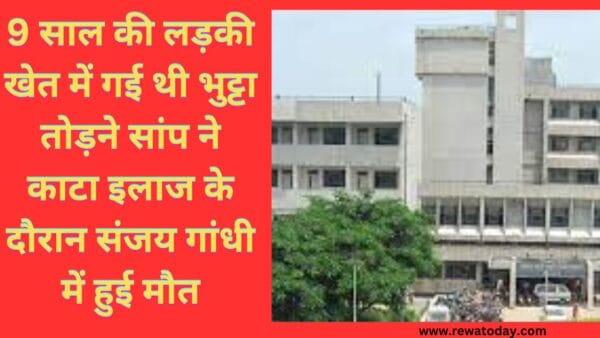9 साल की लड़की खेत में गई थी भुट्टा तोड़ने सांप ने काटा इलाज के दौरान संजय गांधी में हुई मौत