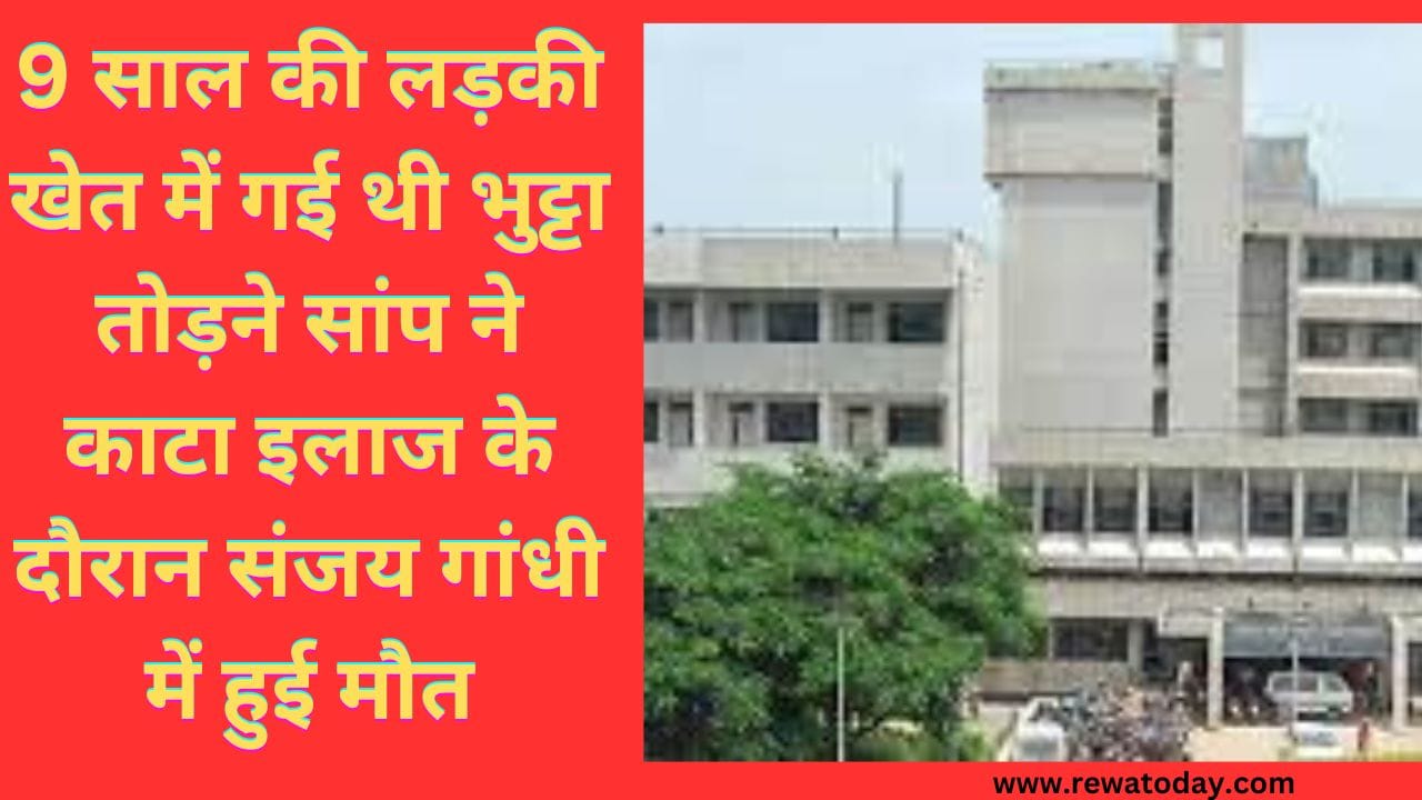 9 साल की लड़की खेत में गई थी भुट्टा तोड़ने सांप ने काटा इलाज के दौरान संजय गांधी में हुई मौत