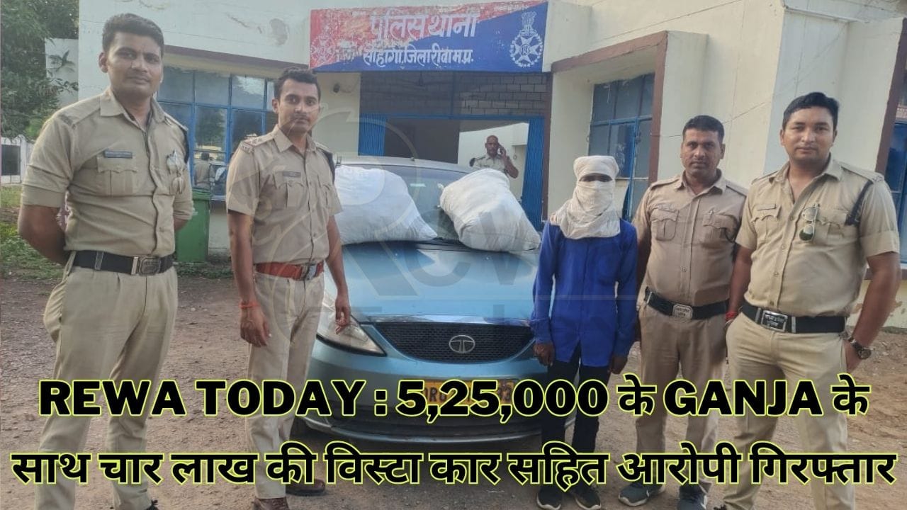 Rewa Today गांजा ( Ganja )के साथ आरोपी गिरफ्तार