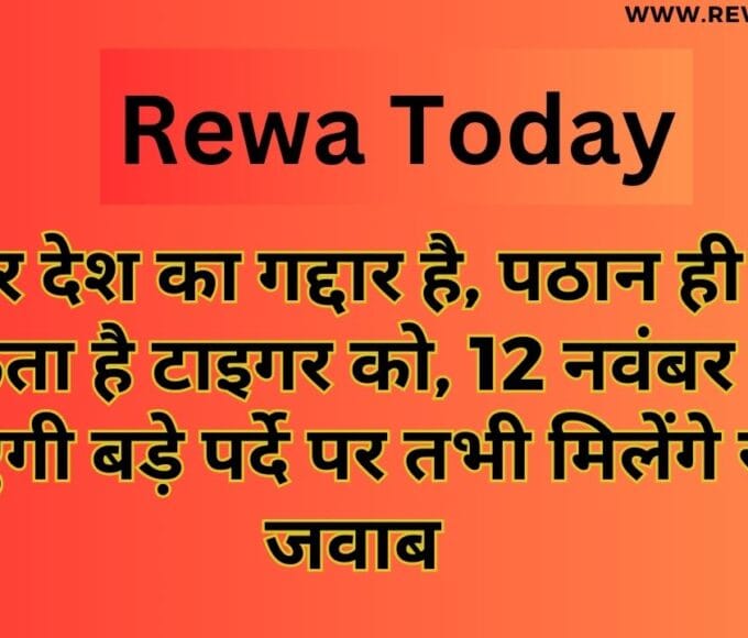 टाइगर देश का गद्दार है, पठान ही बचा सकता है टाइगर को, 12 नवंबर को आएगी बड़े पर्दे पर तभी मिलेंगे सारे जवाब
