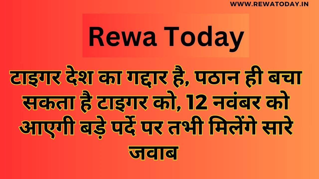 टाइगर देश का गद्दार है, पठान ही बचा सकता है टाइगर को, 12 नवंबर को आएगी बड़े पर्दे पर तभी मिलेंगे सारे जवाब