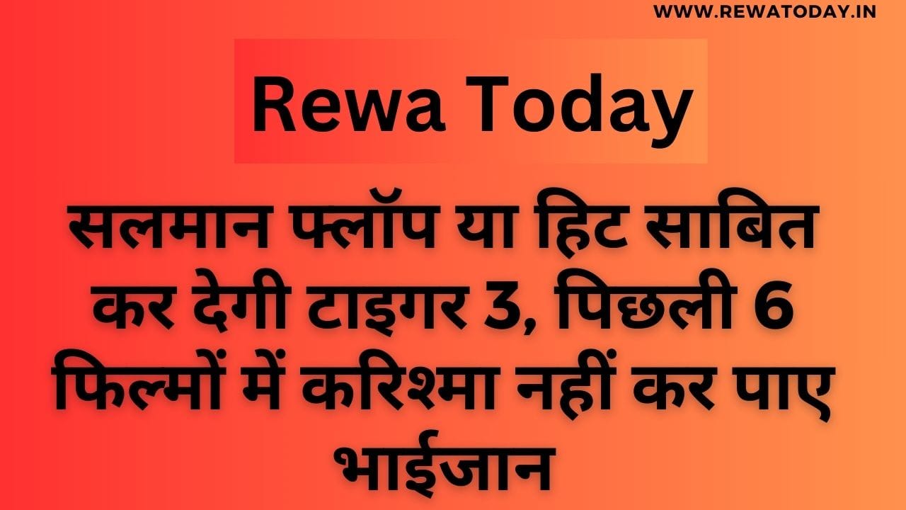 सलमान फ्लॉप या हिट साबित कर देगी टाइगर 3, पिछली 6 फिल्मों में करिश्मा नहीं कर पाए भाईजान