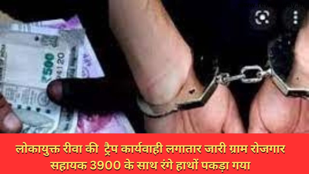 लोकायुक्त रीवा की ट्रैप कार्यवाही लगातार जारी ग्राम रोजगार सहायक 3900 के साथ रंगे हाथों पकड़ा गया