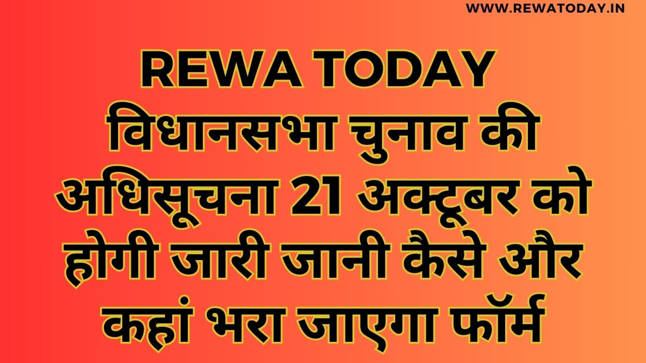 विधानसभा चुनाव की अधिसूचना 21 अक्टूबर को होगी जारी जानी कैसे और कहां भरा जाएगा फॉर्म