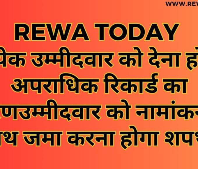प्रत्येक उम्मीदवार को देना होगा अपराधिक रिकार्ड का विवरणउम्मीदवार को नामांकन पत्र के साथ जमा करना होगा शपथ पत्र