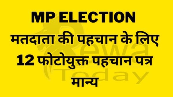 12 photo ID cards are valid for voter identification