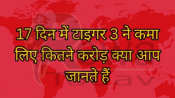 17 दिन में टाइगर 3 ने कमा लिए कितने करोड़ क्या आप जानते हैं