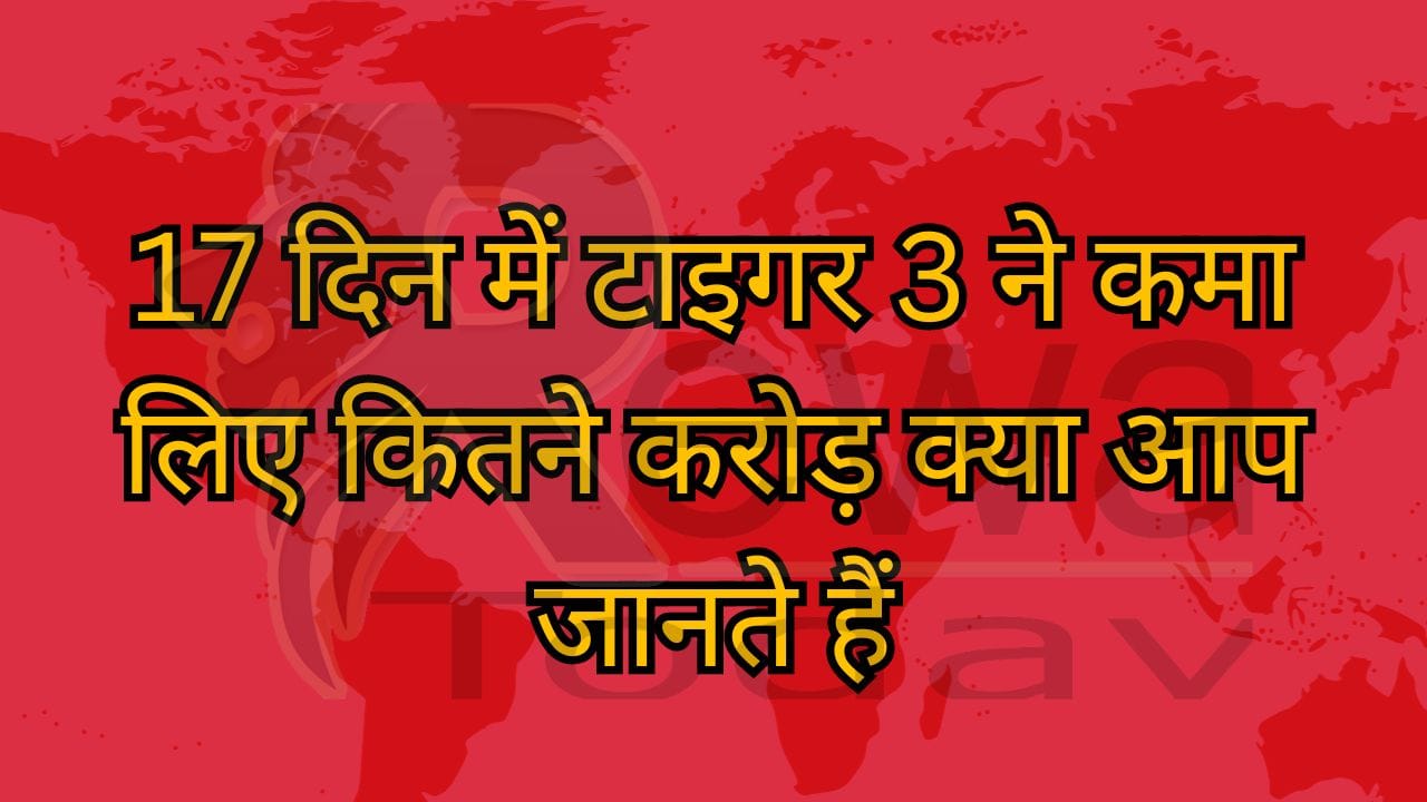 17 दिन में टाइगर 3 ने कमा लिए कितने करोड़ क्या आप जानते हैं