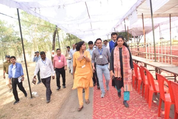 Collector appeals to voters to vote