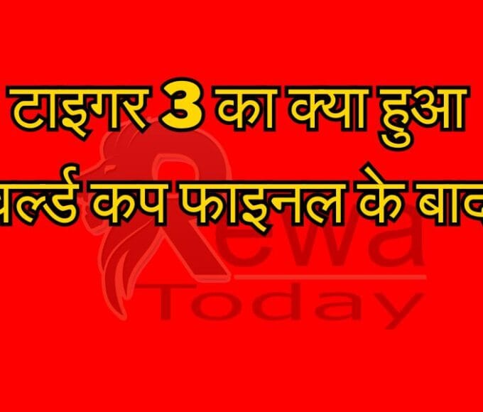 टाइगर 3 का क्या हुआ वर्ल्ड कप फाइनल के बाद
