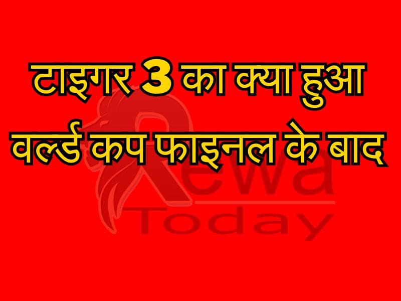 टाइगर 3 का क्या हुआ वर्ल्ड कप फाइनल के बाद