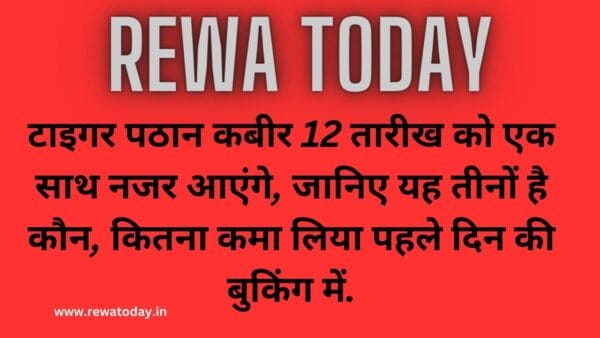टाइगर पठान कबीर 12 तारीख को एक साथ नजर आएंगे, जानिए यह तीनों है कौन, कितना कमा लिया पहले दिन की बुकिंग में.