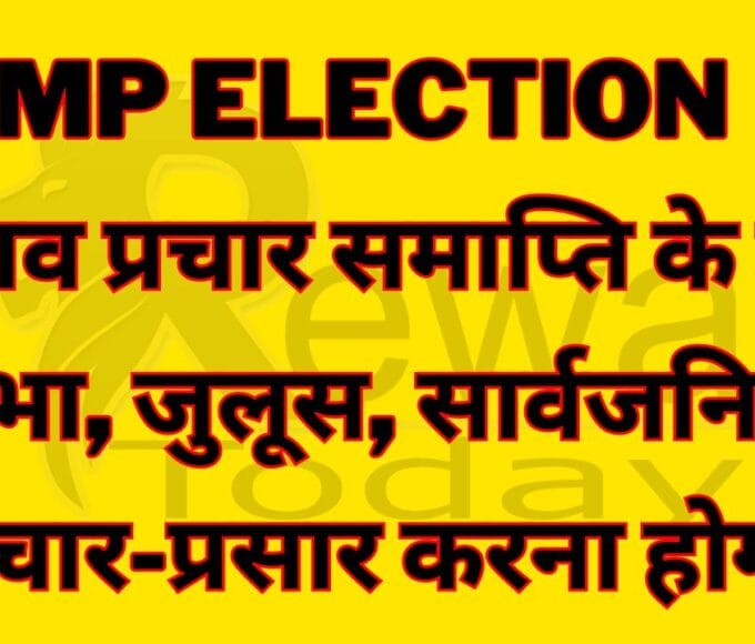 Holding meetings, processions and public publicity after the end of election campaign will be punishable