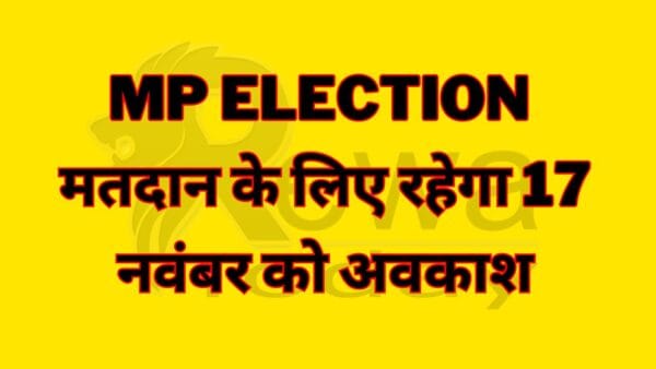 There will be holiday on 17th November for voting.