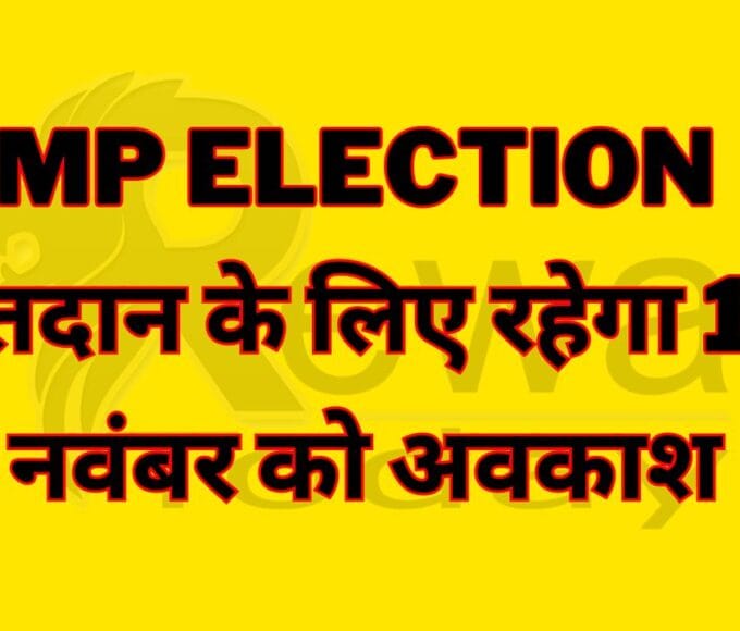 There will be holiday on 17th November for voting.
