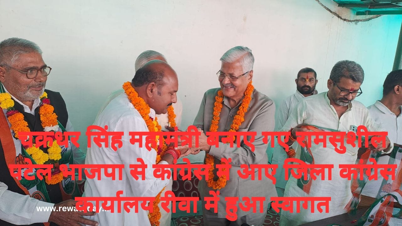 चक्रधर सिंह महामंत्री बनाए गए रामसुशील पटेल भाजपा से कांग्रेस में आए जिला कांग्रेस कार्यालय रीवा में हुआ स्वागत