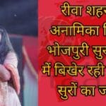 रीवा शहर की अनामिका त्रिपाठी भोजपुरी सुर संग्राम में बिखेर रही है अपने सुरों का जलवा