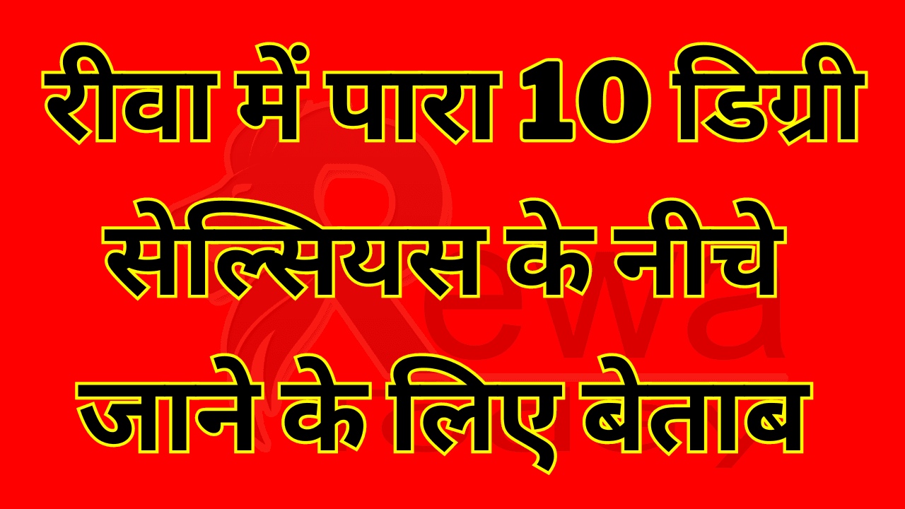 Rewa Today : रीवा में पारा 10 डिग्री सेल्सियस के नीचे जाने के लिए बेताब