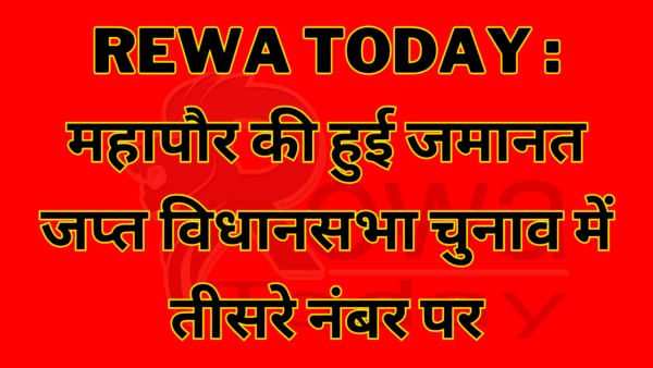 rewa today महापौर की हुई जमानत जप्त विधानसभा चुनाव में तीसरे नंबर पर