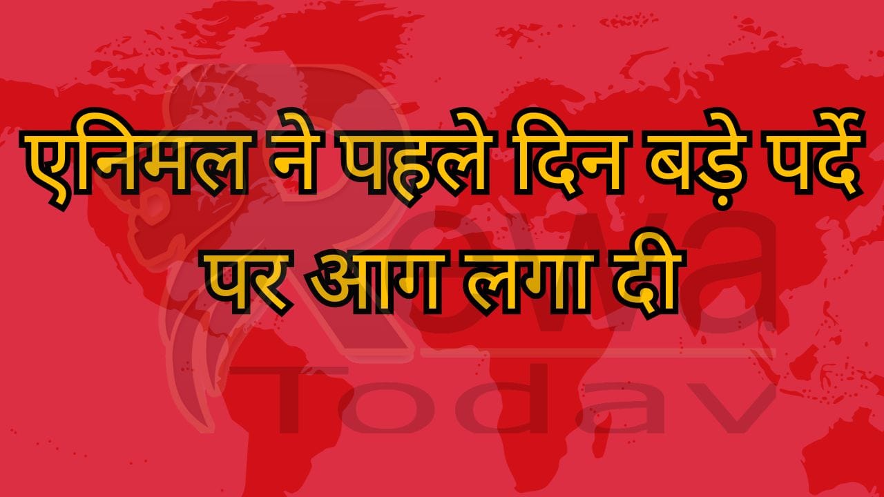 एनिमल ने पहले दिन बड़े पर्दे पर आग लगा दी