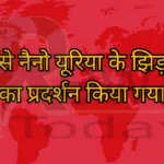 ड्रोन से नैनो यूरिया के झिड़काव का प्रदर्शन किया गया