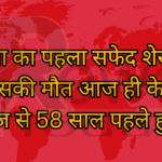दुनिया का पहला सफेद शेर मोहन जिसकी मौत आज ही के दिन आज से 58 साल पहले हुई थी