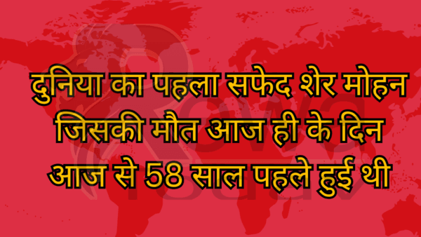 दुनिया का पहला सफेद शेर मोहन जिसकी मौत आज ही के दिन आज से 58 साल पहले हुई थी