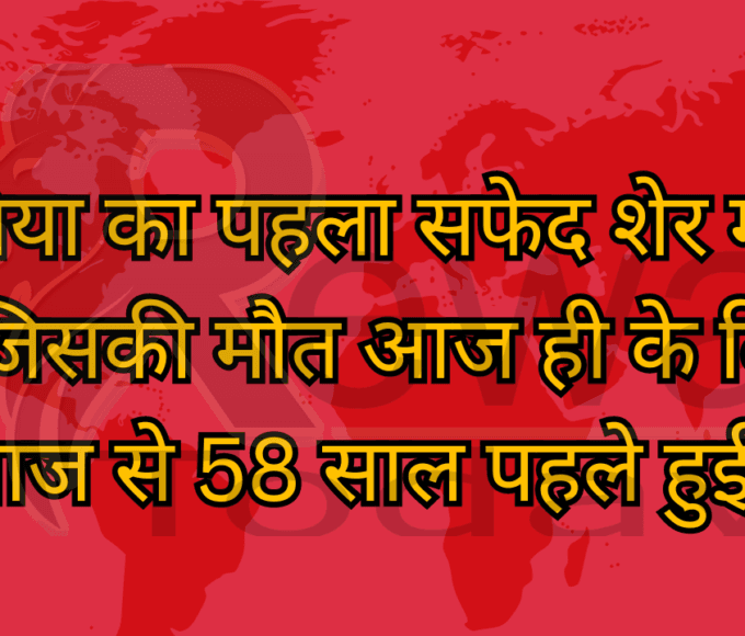 दुनिया का पहला सफेद शेर मोहन जिसकी मौत आज ही के दिन आज से 58 साल पहले हुई थी