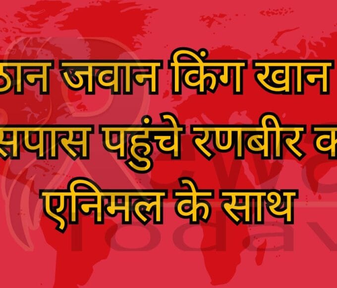 पठान जवान किंग खान के आसपास पहुंचे रणबीर कपूर एनिमल के साथ